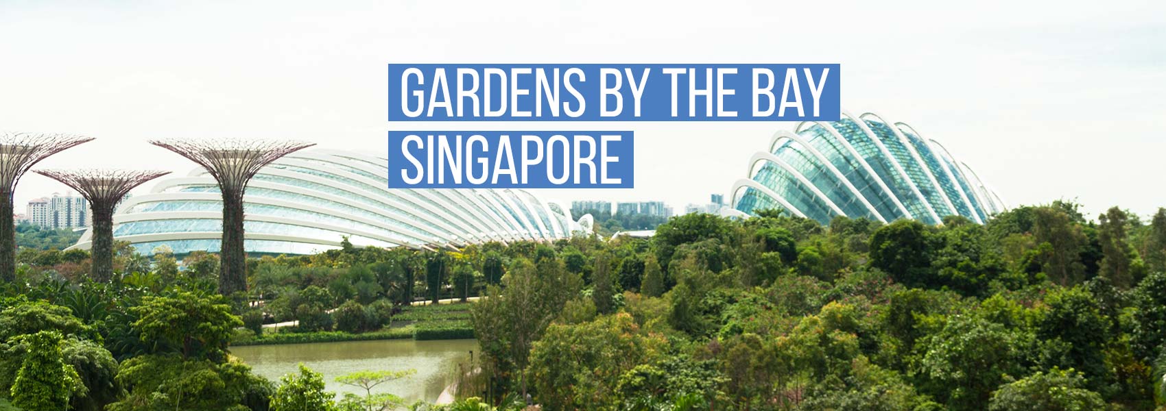 Hasil gambar untuk gardens by the bay singapore