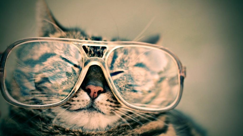 hipster-cat