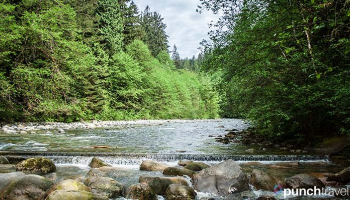 4 Day Hikes from Vancouver for All Levels - Punch Travel