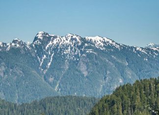 4 Day Hikes from Vancouver for All Levels vancouver-hikes