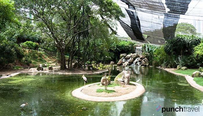 malaysia-kl-bird-park-pond