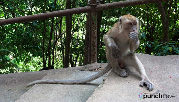 batu_caves-11