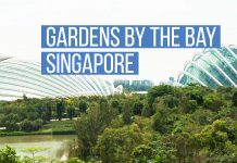 Gardens by the Bay: The Most Futuristic Park in the World singapore_gardens_bay-top