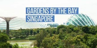 Gardens by the Bay: The Most Futuristic Park in the World singapore_gardens_bay-top