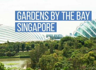 Gardens by the Bay: Le Parc le plus futuriste du Monde singapore_gardens_bay-top