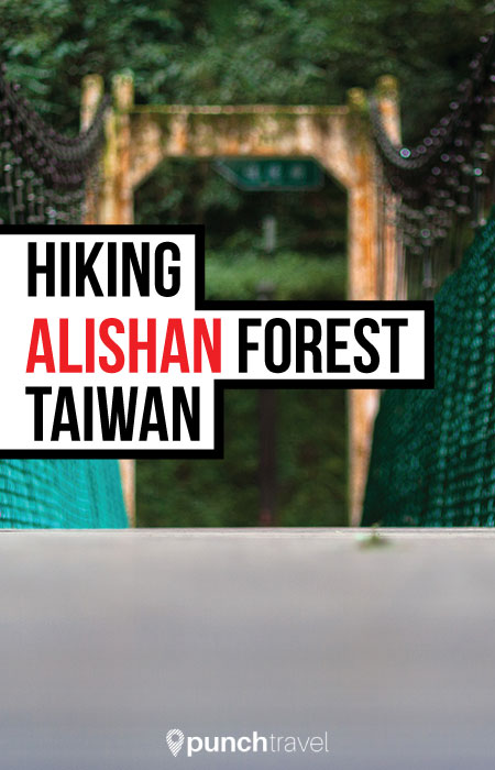 alishan_forest_taiwan