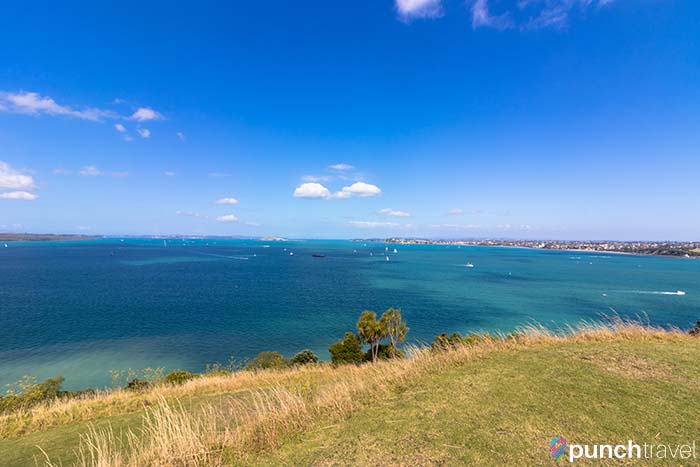 devonport_new_zealand-6