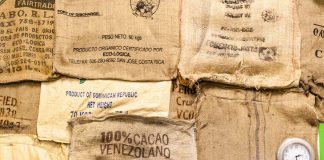 Touring Theo Chocolate Factory seattle_theo_chocolate-ntop