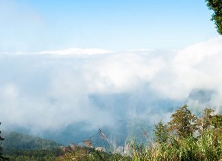 Randonnée dans la forêt d’Alishan, Taïwan taiwan_alishan-ntop