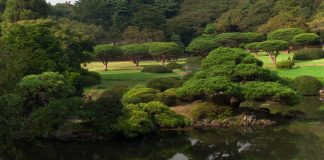 What to Do in Shinjuku, Tokyo tokyo_shinjuku-ntop