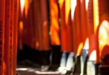 Week-end à Kyoto, Japon weekend_kyoto-ntop