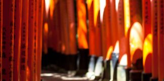 Week-end à Kyoto, Japon weekend_kyoto-ntop