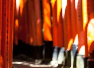 Week-end à Kyoto, Japon weekend_kyoto-ntop