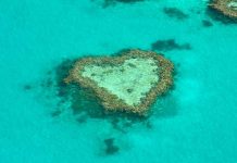 The Best Itinerary for Driving from Brisbane to Cairns brisbane_cairns_australia-top