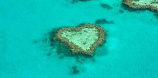 The Best Itinerary for Driving from Brisbane to Cairns brisbane_cairns_australia-top