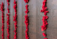 6 Free Things Not to Miss in Canberra canberra_free_things_australia-topcanberra_free_things_australia-top