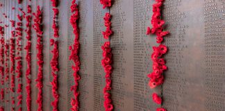 6 Free Things Not to Miss in Canberra canberra_free_things_australia-topcanberra_free_things_australia-top