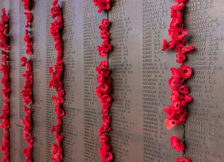 6 choses gratuites à ne pas manquer à Canberra canberra_free_things_australia-topcanberra_free_things_australia-top