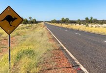 Feeling Adventurous? Drive the Great Savannah Way from Darwin to Broome darwin_broome_australia-top