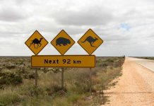 5 Road Trips inoubliables en Australie best_roadtrips_australia-top