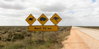 5 Unforgettable Road Trips in Australia best_roadtrips_australia-top
