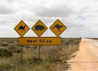 5 Road Trips inoubliables en Australie best_roadtrips_australia-top