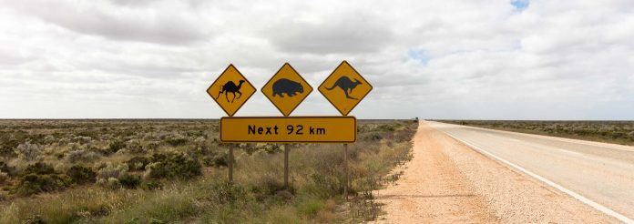 best_roadtrips_australia-top best_roadtrips_australia-top